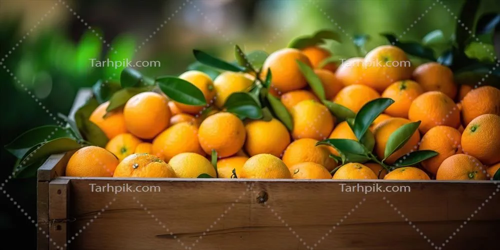باکس چوبی نارنجی تازه تولید شده با هوش مصنوعی از برداشت مزرعه ارگانیک و طبیعی