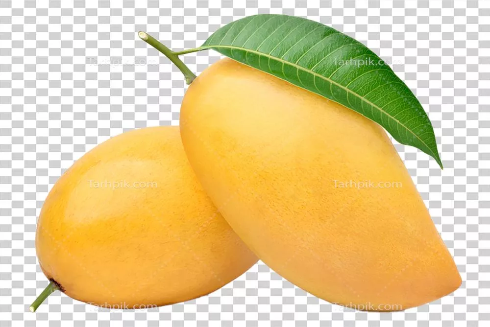 توت فرنگی انبه: میوه‌ای استوایی با رنگ شفاف و طعمی خوشمزه