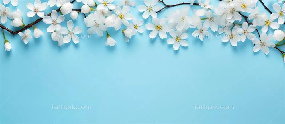طرح گرافیکی از گلهای بهاری در قاب بر روی پسزمینه آبی با فضای خالی برای متن