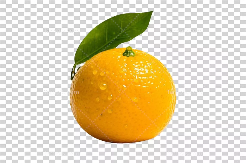 میوه پرتقال تازه و تکنفری در پسزمینه شفاف و بدون حاشیه