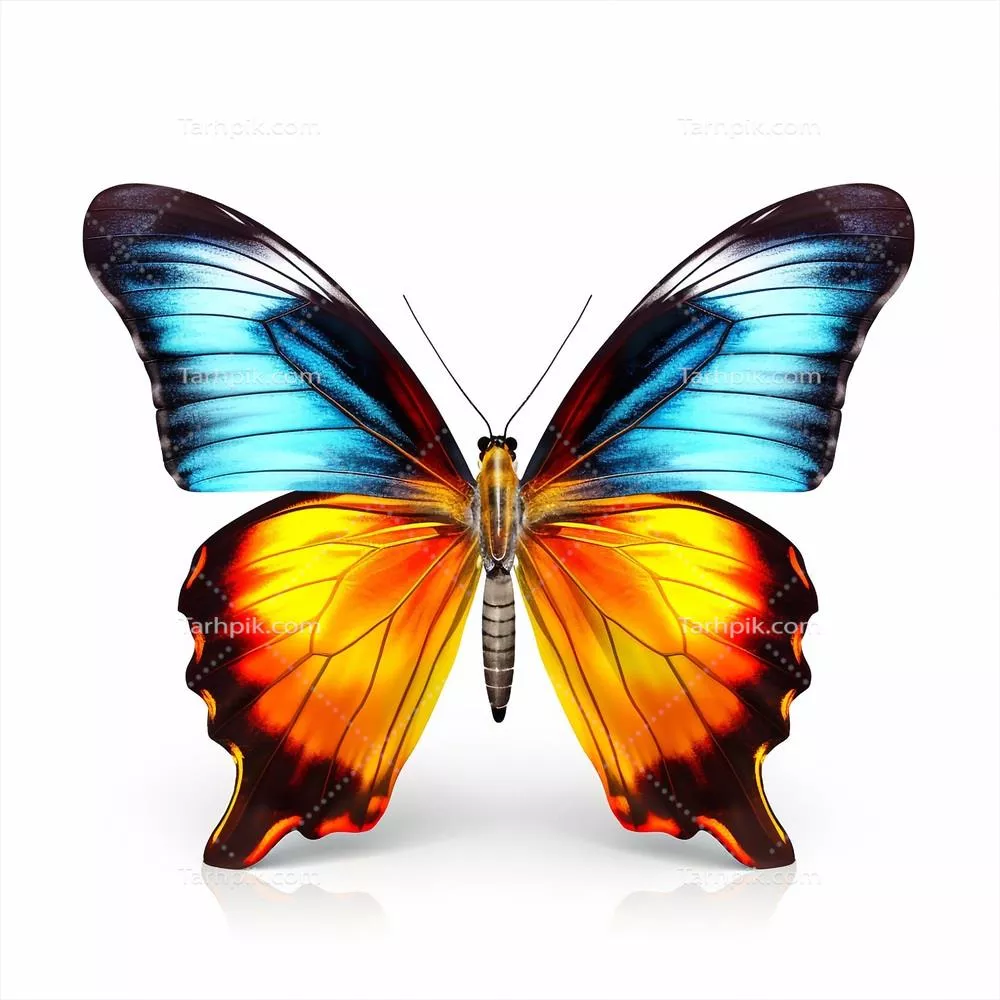 تصویر زیبای پروانه بزرگ وحشی که به جلو نگاه می‌کند - تولید شده با هوش مصنوعی