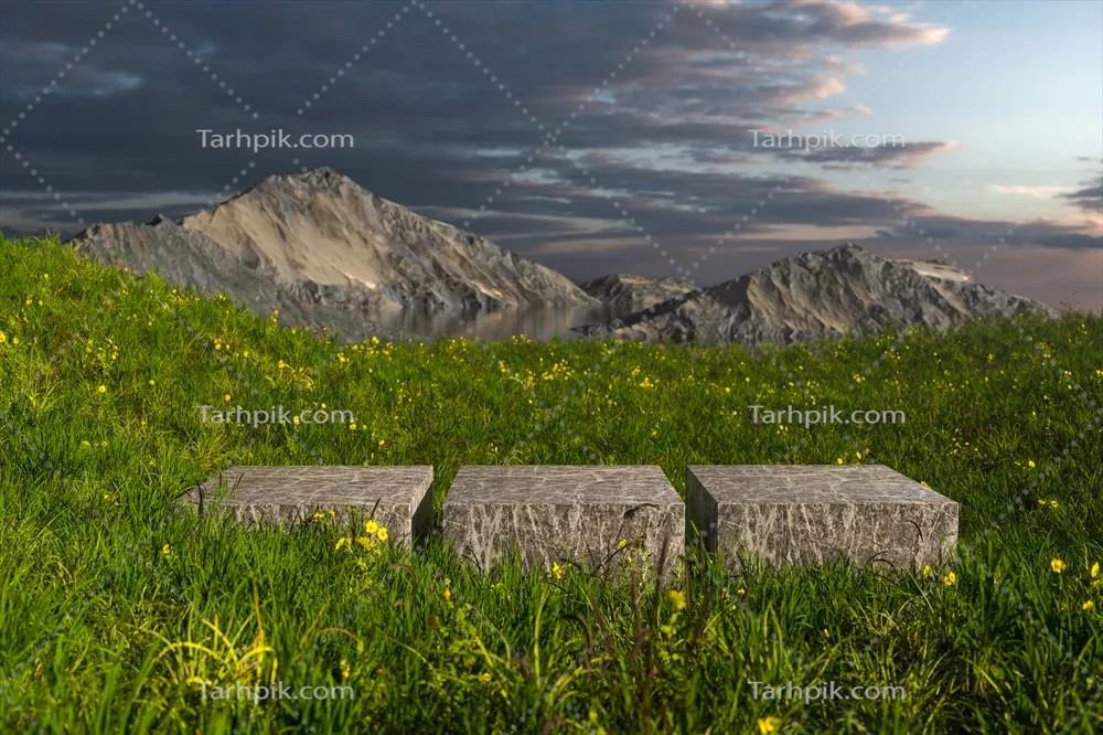 رندر سه بعدی سکوی خالی در میدان چمنی زیبا و آرام