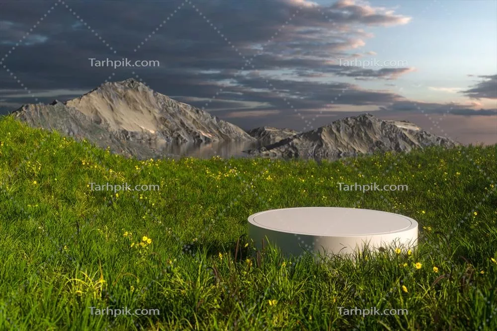 تصویر سه بعدی از سکوی خالی در میدان چمنی با جزئیات طبیعی