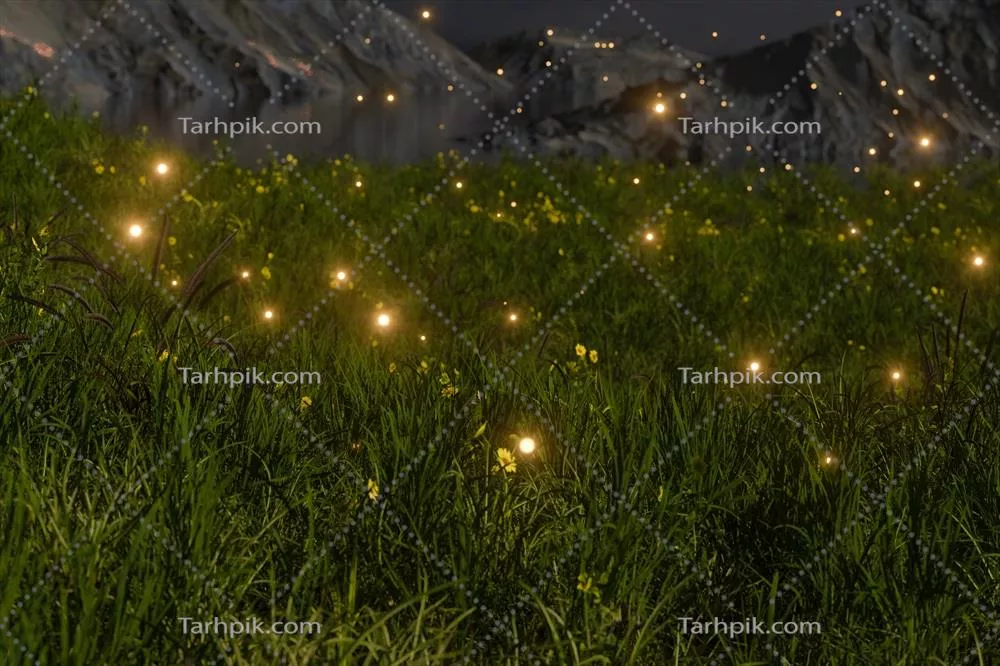 رندر سه بعدی کرم شب تاب در حال پرواز بر روی میدان چمن