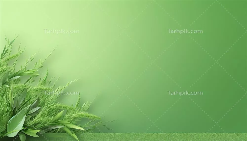 دیوار سبز با پس‌زمینه سفید - تصویر تولید شده با هوش مصنوعی