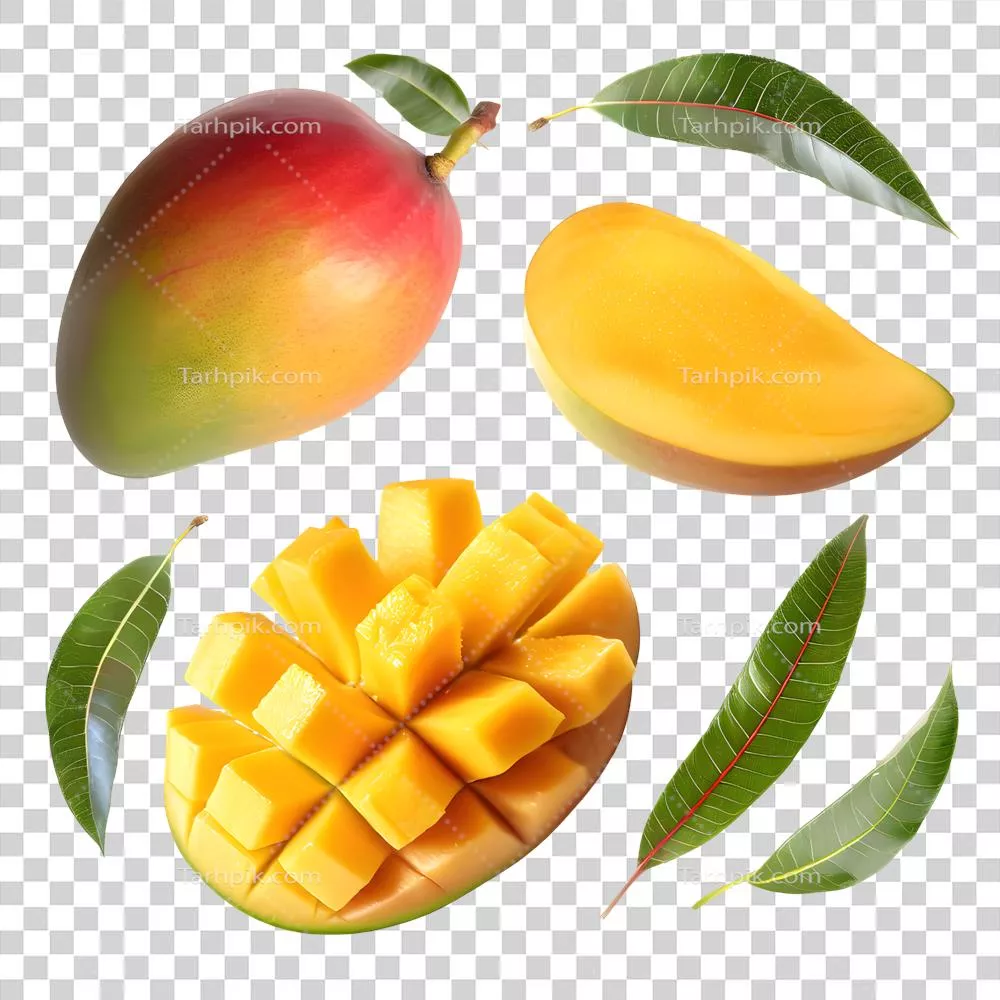 مجموعه‌ی انبه میوه‌ای و برش‌خورده با برگ‌ها بر روی پس‌زمینه‌ای شفاف و ایزوله