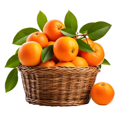 تولید هوش مصنوعی پرتقالهای زیبای قرار گرفته در سبد بر روی پسزمینه شفاف