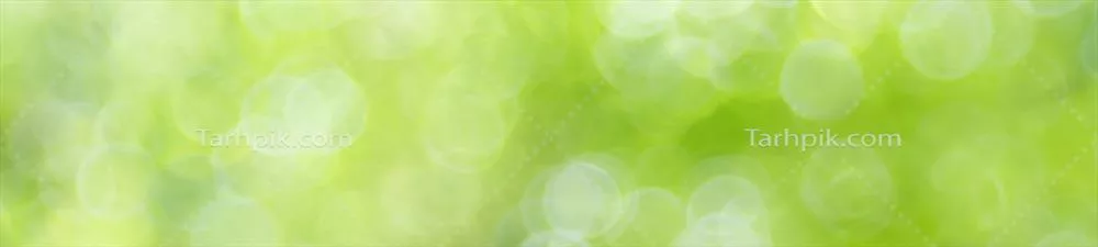 پسزمینهای انتزاعی از نور برگ سبز در باغ برای جلد صفحه