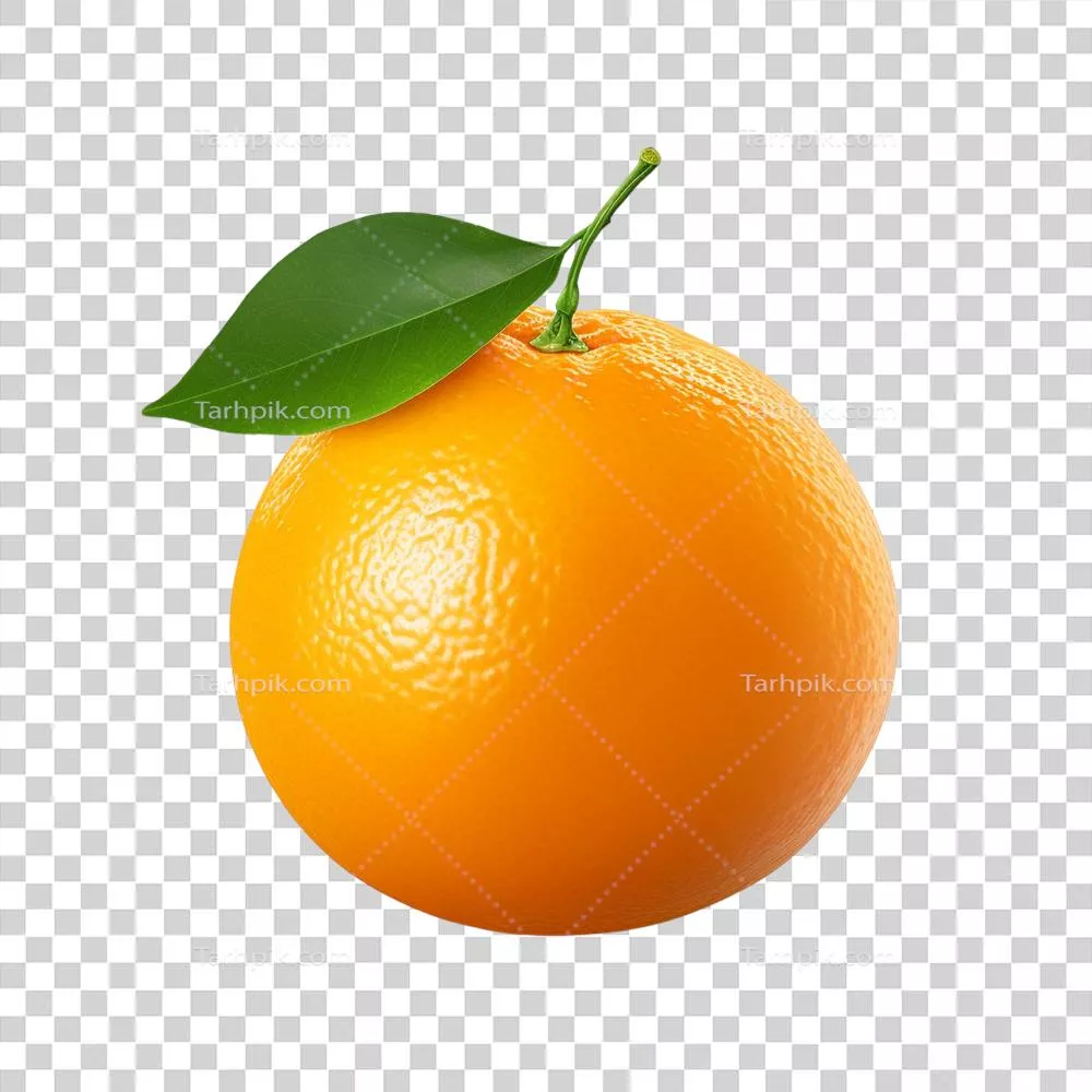 ادارات و هنرهای مربوط به طراحی گرافیک: هنر کلیپ آرت با استفاده از هوش مصنوعی - پرتقالی