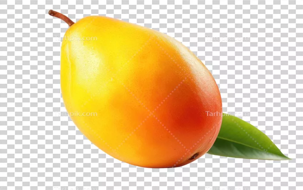 مجموعه ای از تصاویردارای رنگ زنده و مشخصات منحصربفرد انبه به تصویر کشیده شده در پس زمینه شفاف