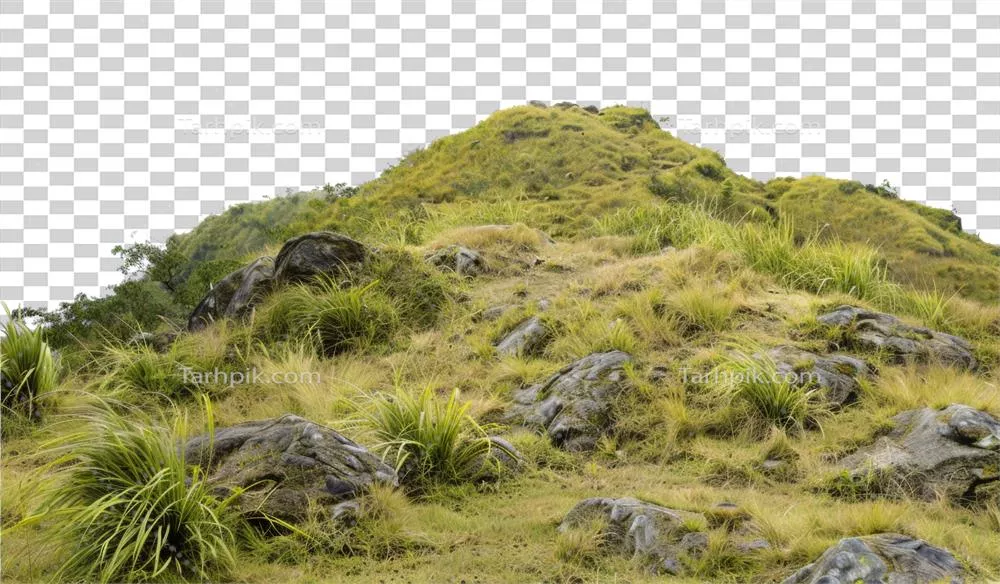 مسیر کوهستانی تولید شده توسط هوش مصنوعی در میان چمن زار طلایی با پسزمینه شفاف