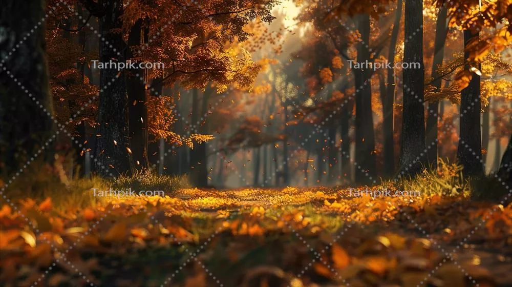 تصویر زمینه پاییزی زیبا از جنگل با درختان زرد و نارنجی