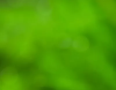 پسزمینه رنگی طبیعت با حالت مات و بکهای انتزاعی
