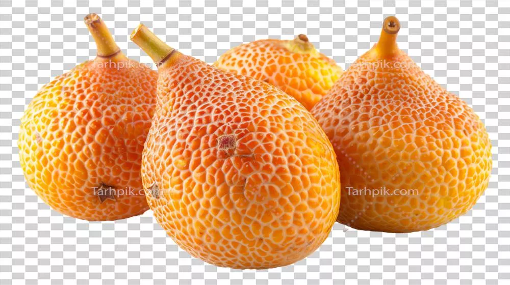 تصویری شفاف از میوه تازه وگلی، به رنگ نارنجی و متمایز