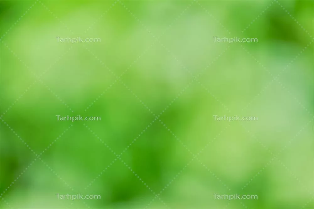پیش زمینه سبز و سفید با استفاده از یک گیاه با گلهای سفید در طبیعت