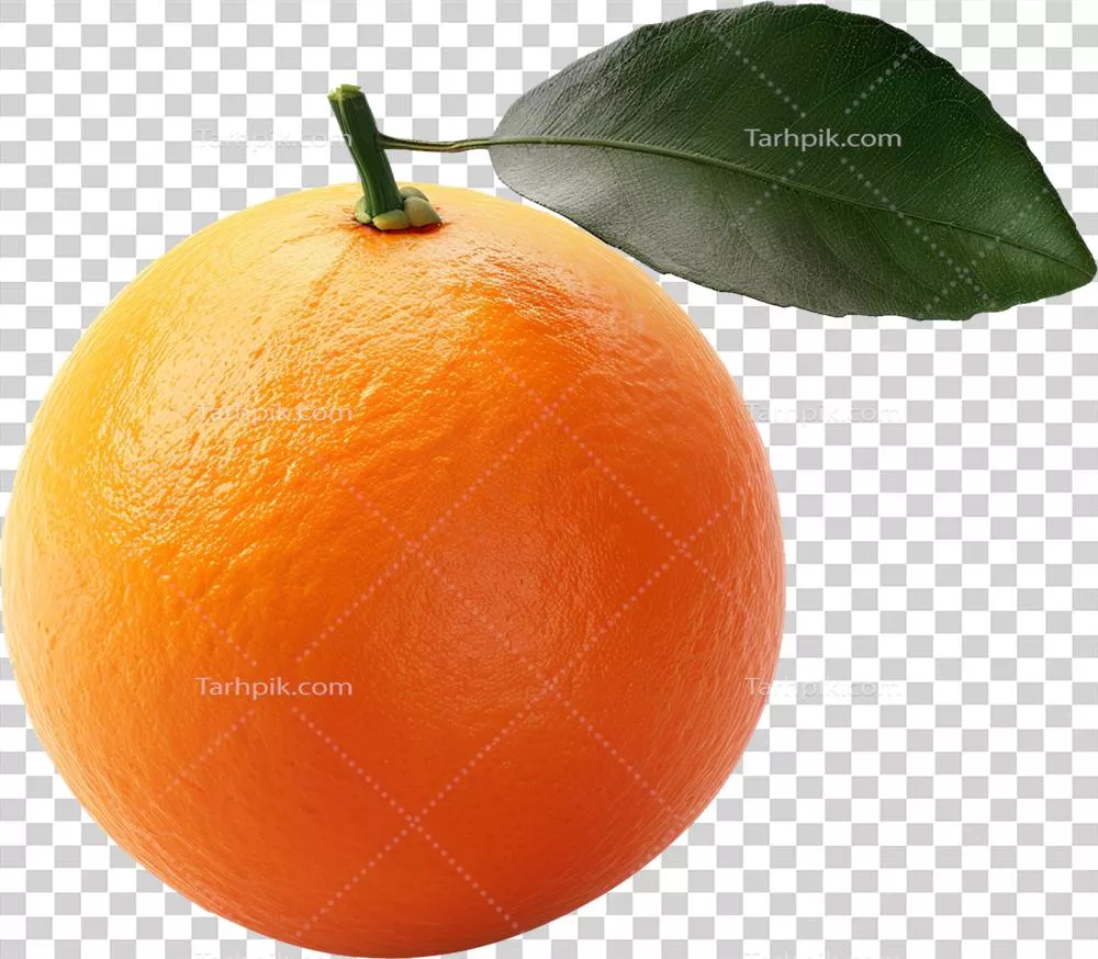 نزدیکنمای میوههای نارنجی با برگها، جدا شده بر روی پسزمینه شفاف