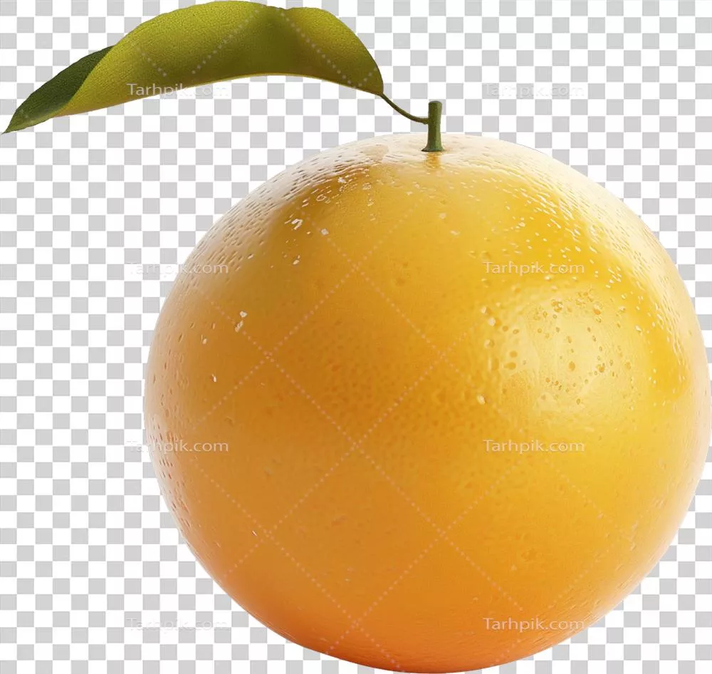 میوه‌های پرتقالی تیره با برگ‌های سبز در پس‌زمینه شفاف