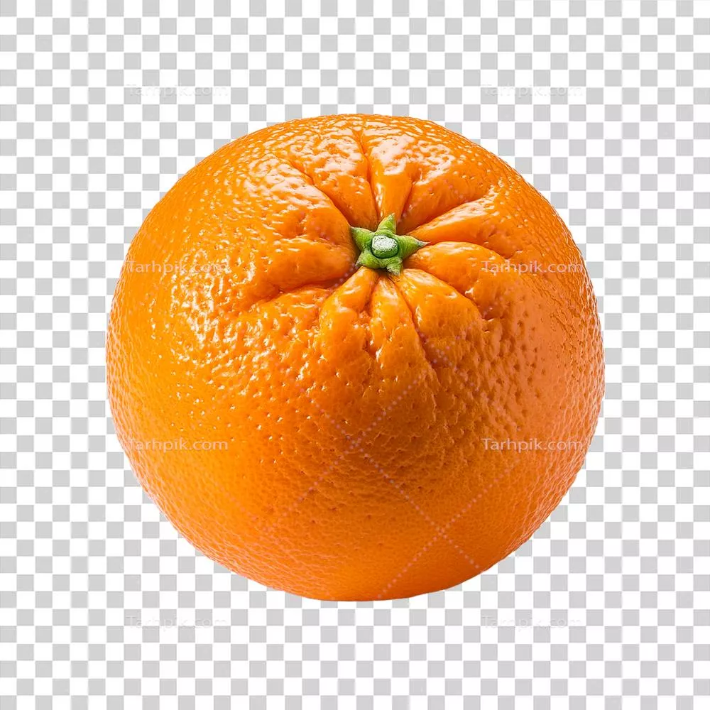 نمایش یک نارنجی خوشمزه و آبدار با رنگ زیبا و طبیعی