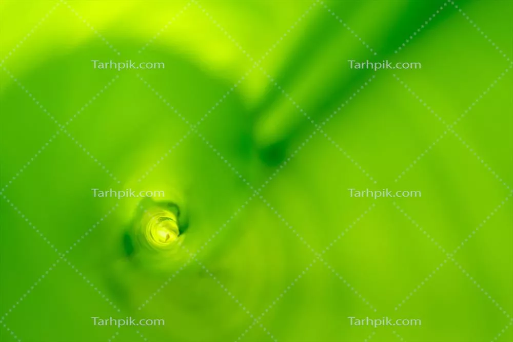 برگ موز لوله شده بر روی پس زمینه سبز زیبا و طبیعی