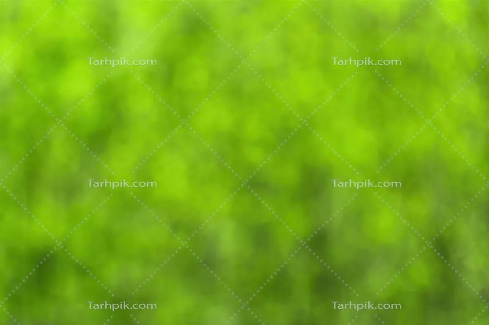 تصویر پسزمینه محو بکه با برگهای سبز روشن در بهار یا تابستان