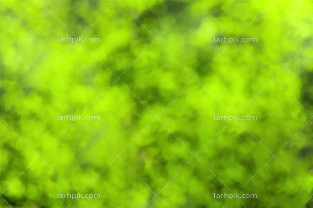 تصویر پس‌زمینه بصری با بوکه محو و شفاف از برگ‌های سبز در بهار یا تابستان