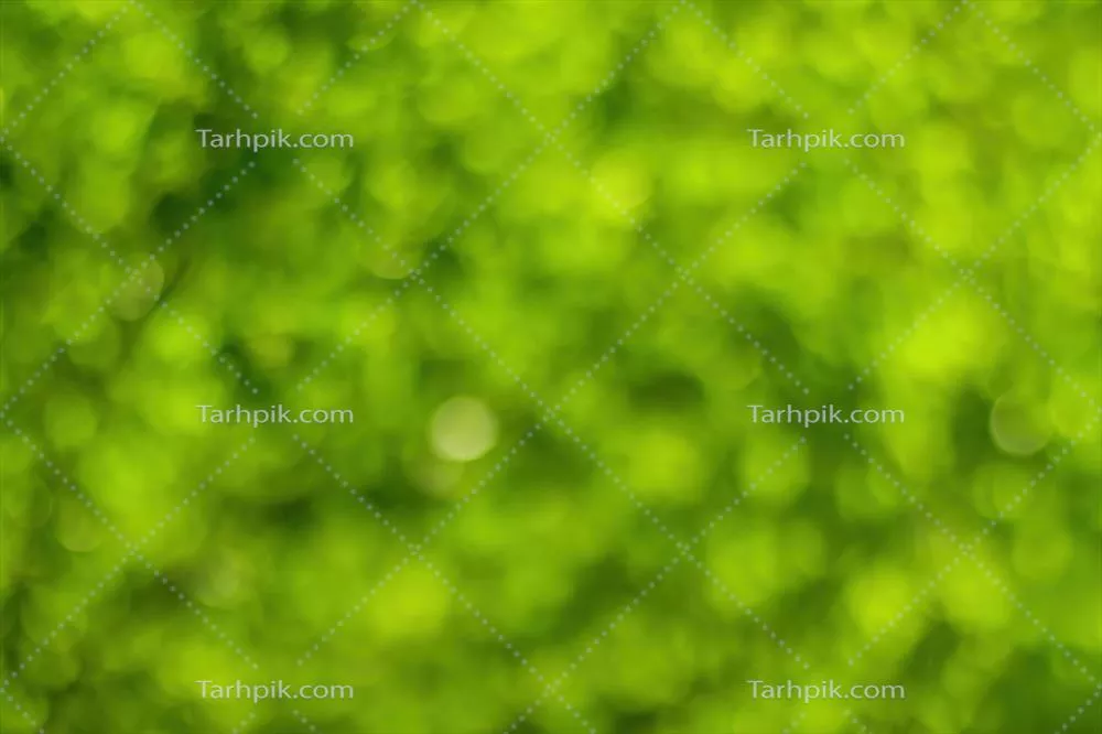 تصویر زمینه‌ای مبهم با بوکه‌ای از شاخ و برگ سبز در بهار یا تابستان