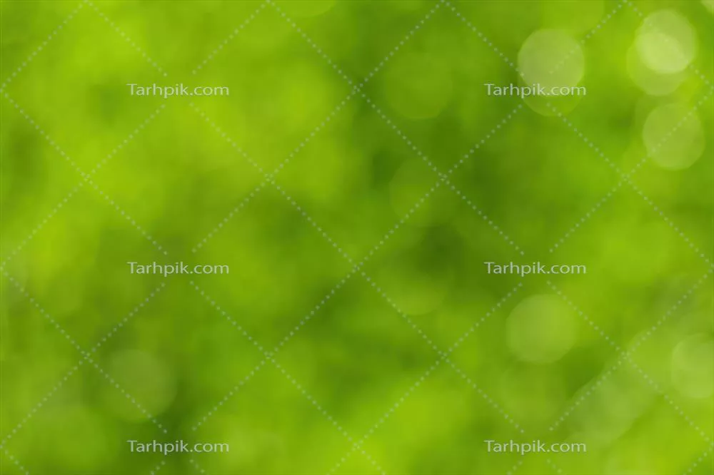 تصویر پسزمینه بوکه محو از شاخ و برگ سبز روشن در بهار یا تابستان