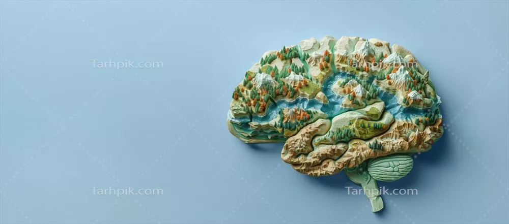 نقشه جغرافیایی مغز انسان با چشماندازهای متنوع در پسزمینه آبی