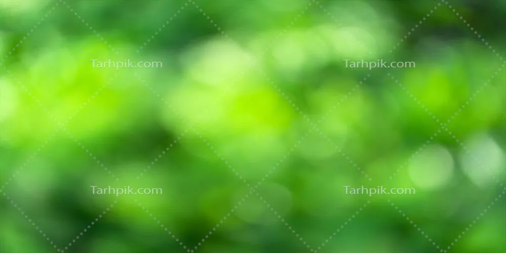 پسزمینهی تابستانی انتزاعی و محو با پوشش گیاهی سبز