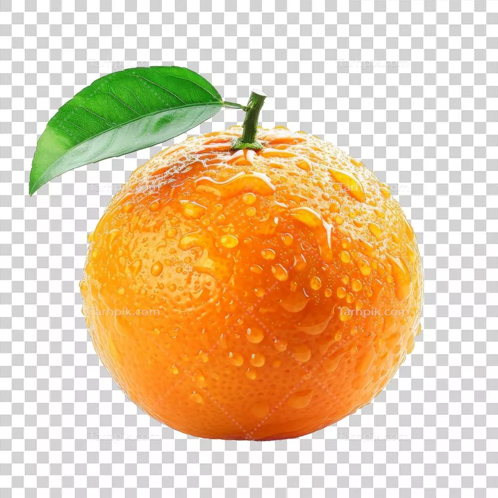 نارنجی جداشده بر روی پسزمینه شفاف برای طراحی و هنر دیجیتال