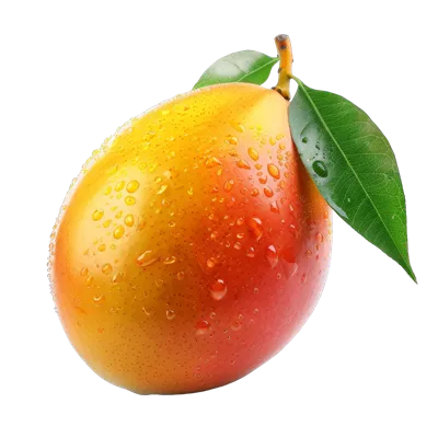 مینگوی با کیفیت بالا در پس زمینه شفاف و ایزوله برای طراحی گرافیکی