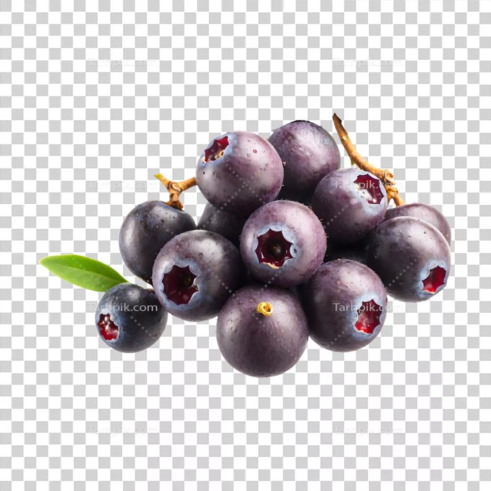 قدرت طبیعت: خوشه ای از توت آکای تازه و شیرین بر روی پس زمینه شفاف