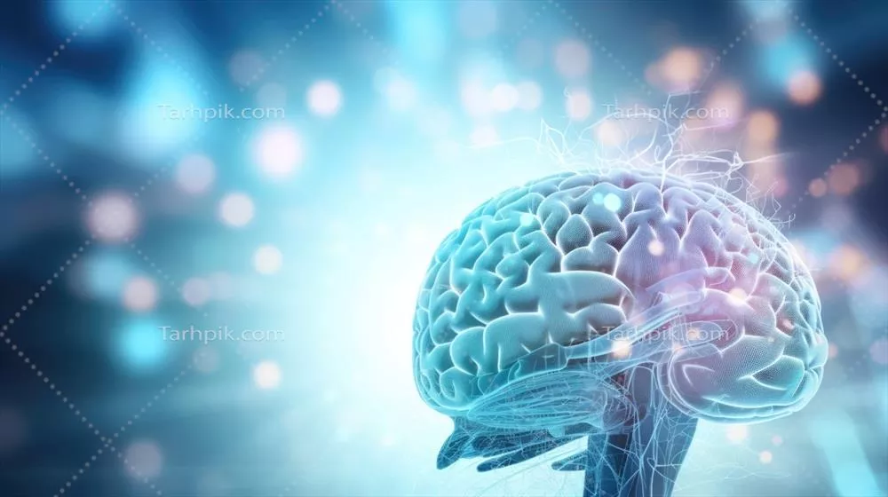 تصویر نزدیک از اسکن مغز که توسط هوش مصنوعی برای تشخیص سلامت شخصی تفسیر شده است