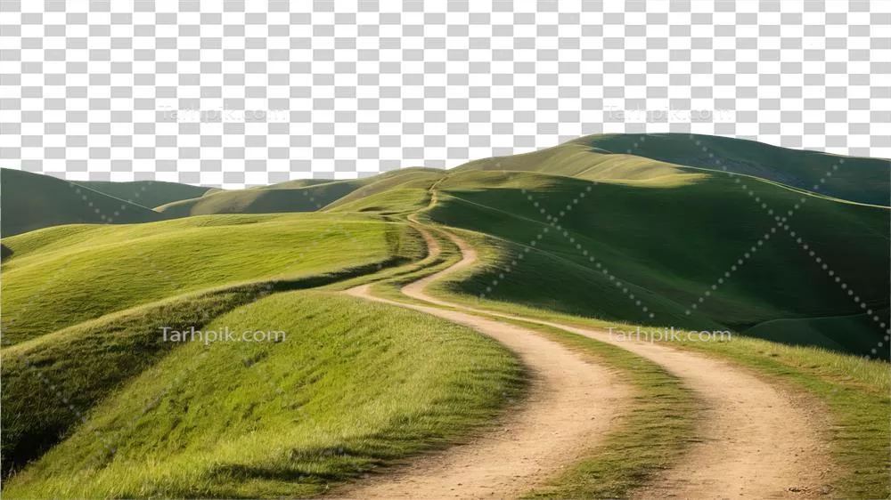 تصویر زیبا از منظره تابستانی، جاده‌ای در میان مرتع‌ها و آرامش روستا