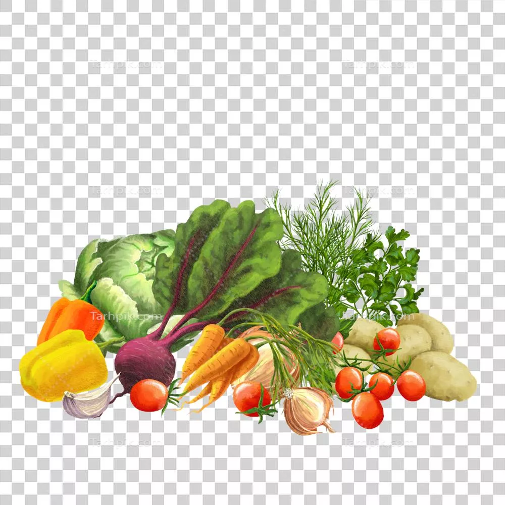مجموعهای از سبزیجات کشاورزی و قابلیتهای مراقبت از آنها