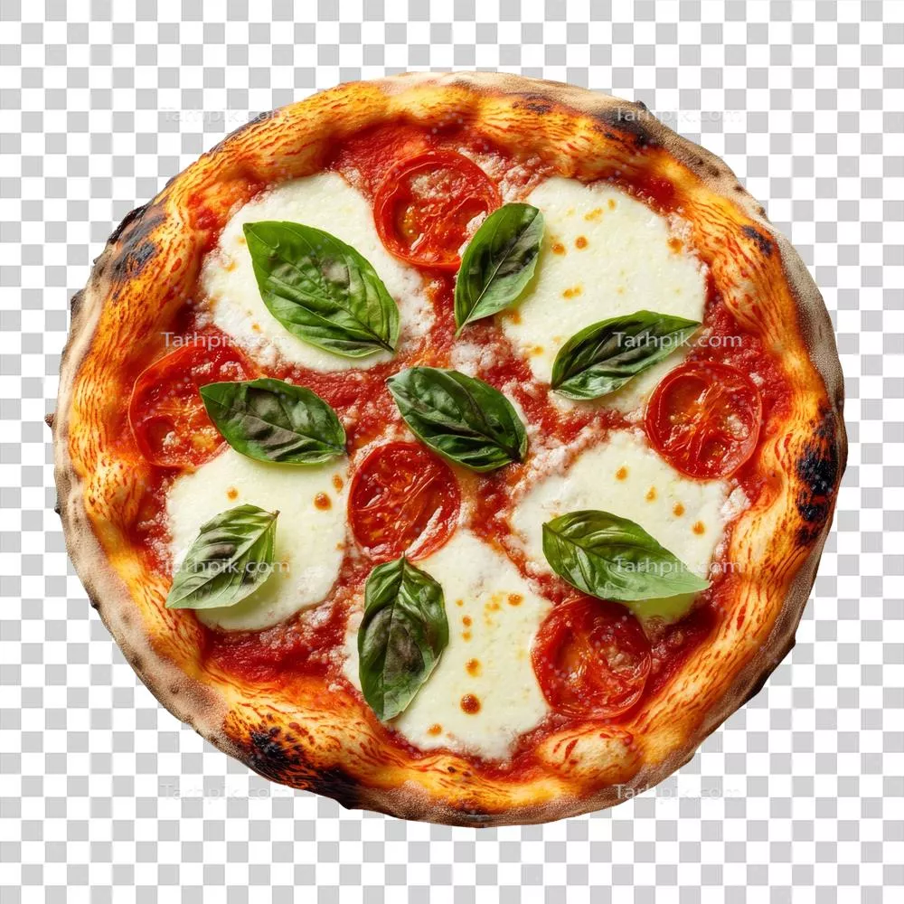 پیتزا مارgherita خوشمزه با پنیر موتزارلا تازه، گوجه‌فرنگی و ریحان بر روی پس‌زمینه شفاف