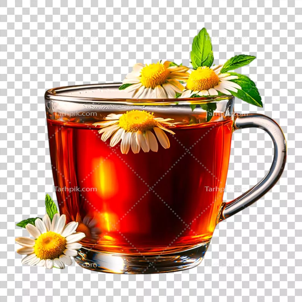 چای تازه گیاهی با گلهای بابونه در فنجان شیشهای