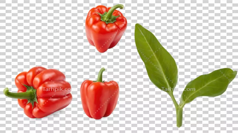 سه فلفل دلمهای قرمز رسیده و یک جوانه سبز سرزنده