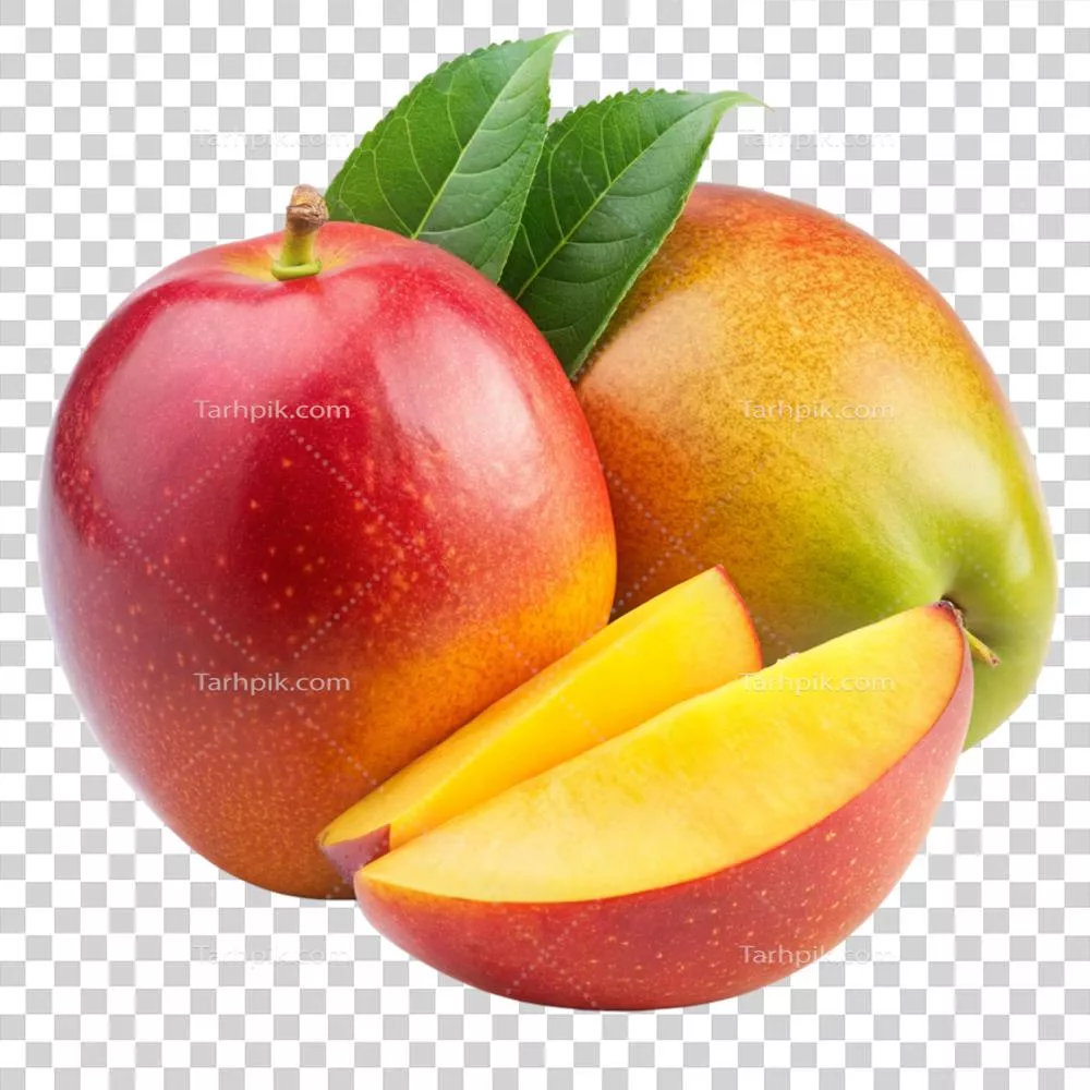 مانگوهای رسیده و آبدار آماده برای مصرف: میوه ای خوشمزه و تازه برای تابستان