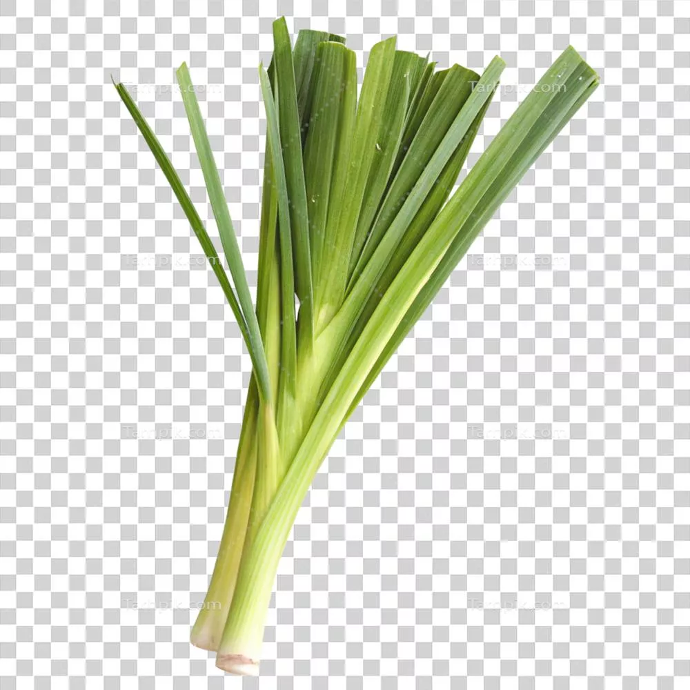 تره تازه و سبز با پس زمینه سیاه: عکاسی از سبزیجات برگی