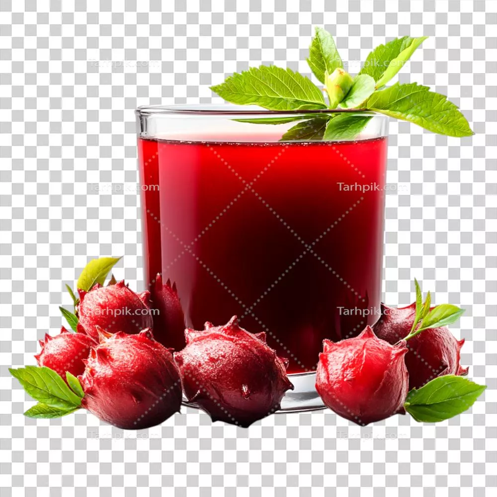 چای خوشمزه وRefreshing هیبیسکوس با گلبرگهای تازه و برگهای سبز