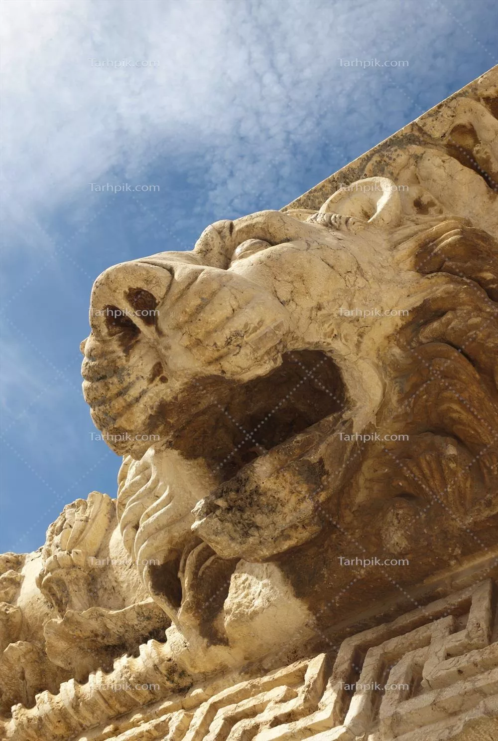 عکس نمای نزدیک تندیس شیر معماری باستانی زیر آسمان آبی