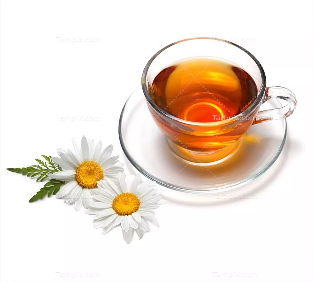 عکس تصویری از یک فنجان چای گیاهی در کنار گلهای بابونه سفید