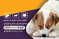تصویر 2