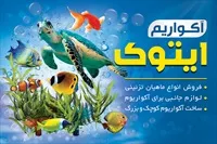 تصویر 3