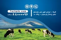 تصویر 2