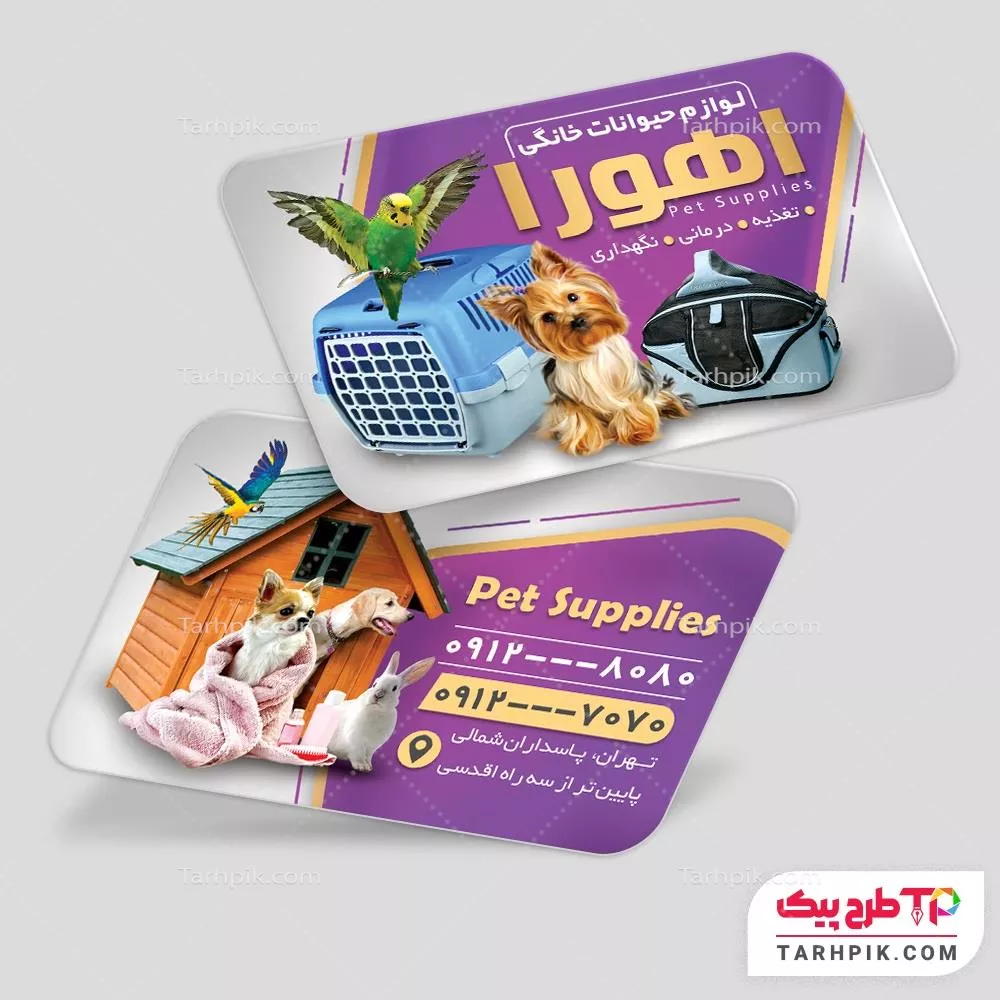 دانلود کارت ویزیت پت شاپ با قابلیت ویرایش المان ها