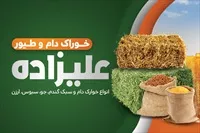 تصویر 3
