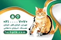تصویر 2