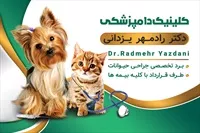 تصویر 3